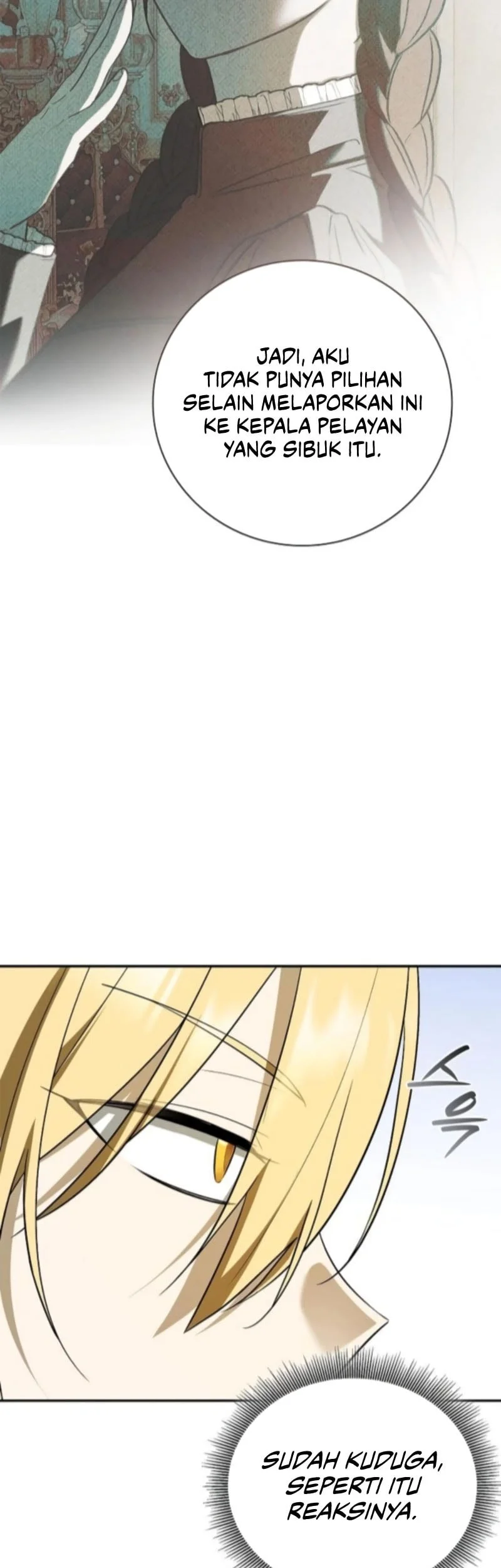 A Mercenary’s Rebirth Among Nobles Chapter 11 Gambar 8