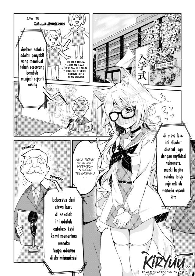 Catulus Syndrome Chapter 1 Gambar 6