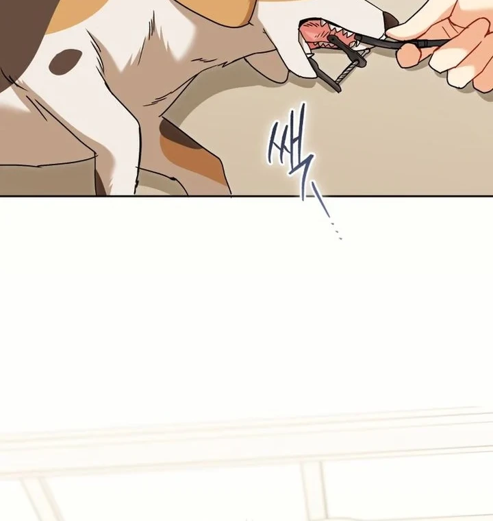 Hello? Veterinarian! Chapter 138 Gambar 8