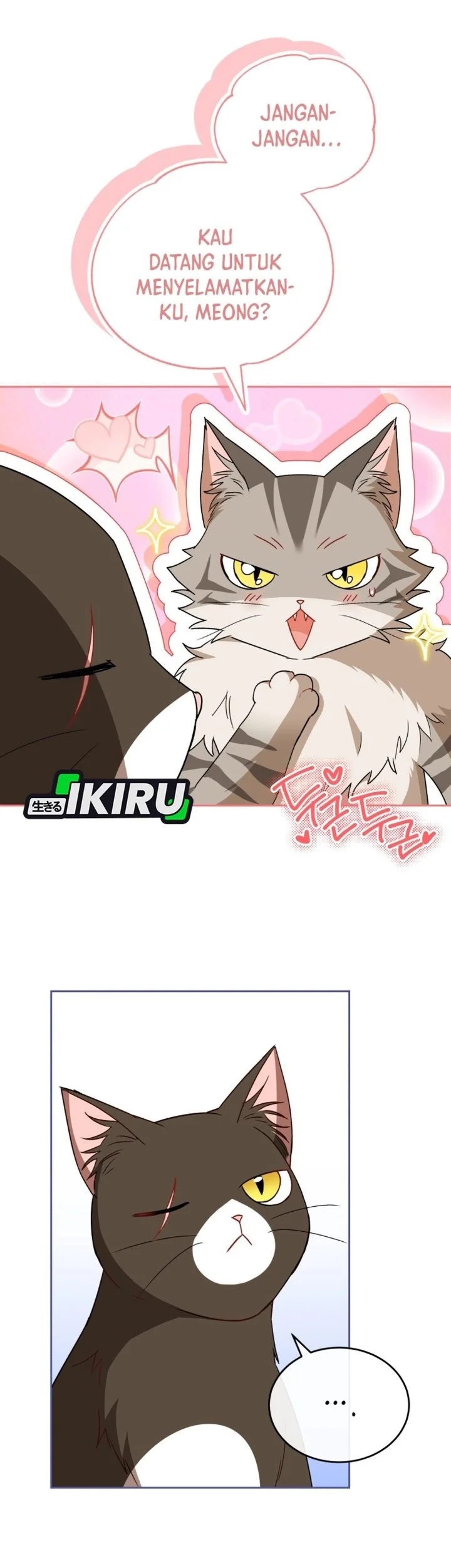 Hello? Veterinarian! Chapter 146 Gambar 10