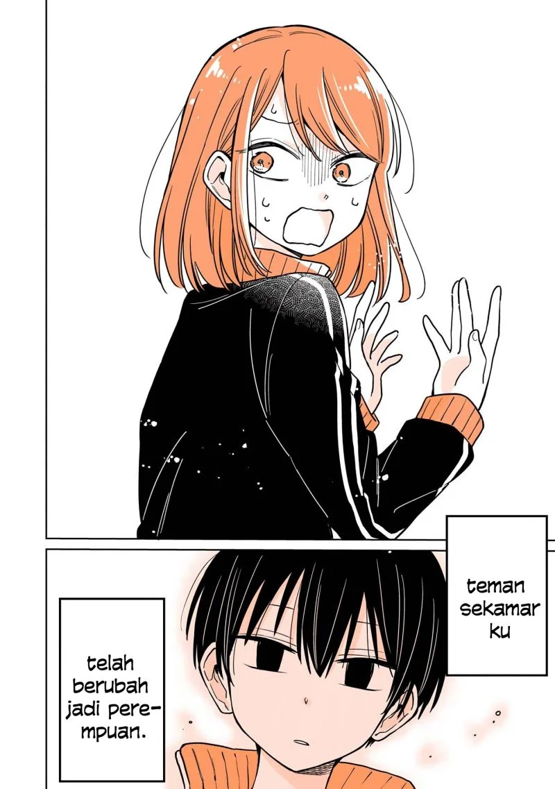 Halaman 3