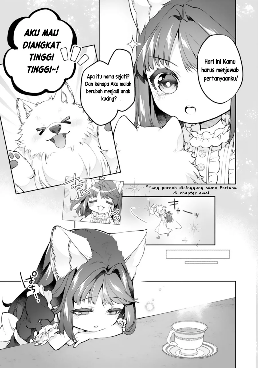 Neko Neko Youjo no Aijou Gohan ~Isekai de Mofumofu-tachi ni Ryouri wo Tsukurimasu!~ Chapter 16 Gambar 4