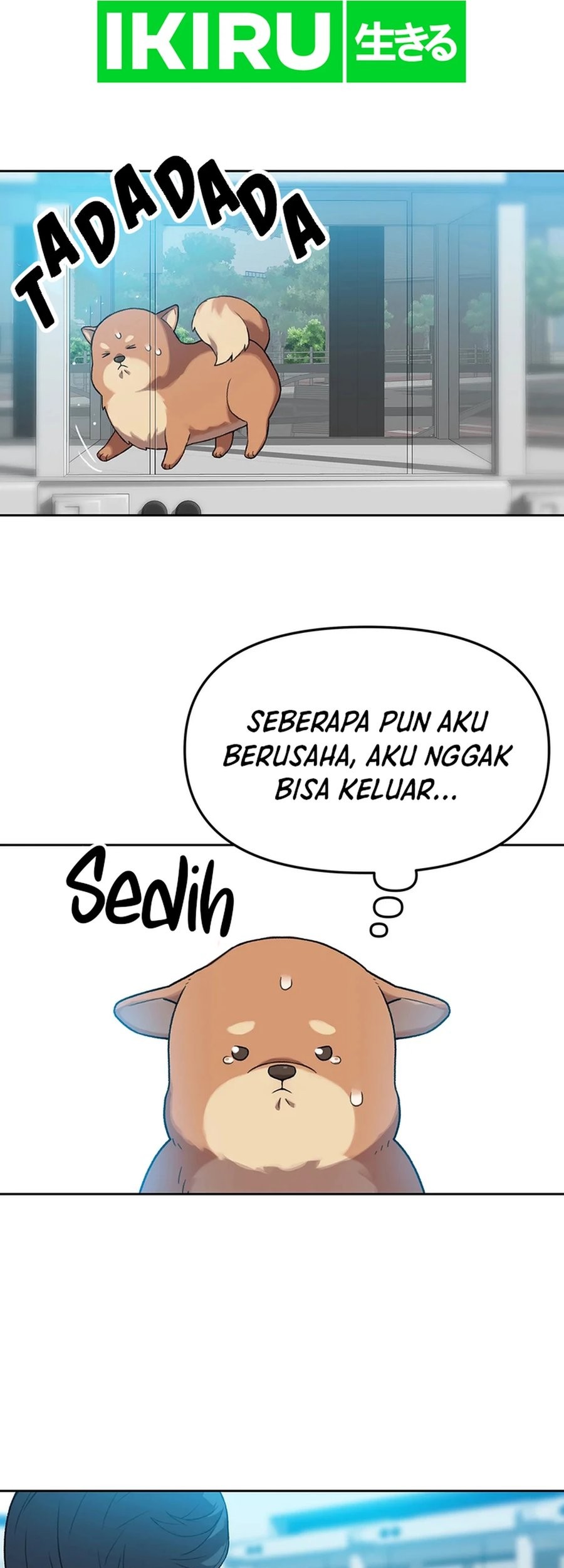 Halaman 5