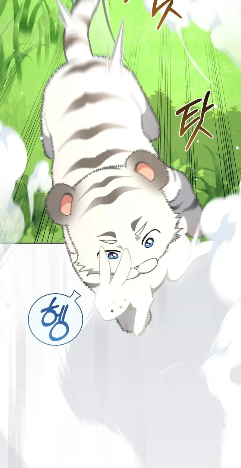 The White Tiger Clan’s Baby Cotton Ball Chapter 28 Gambar 8