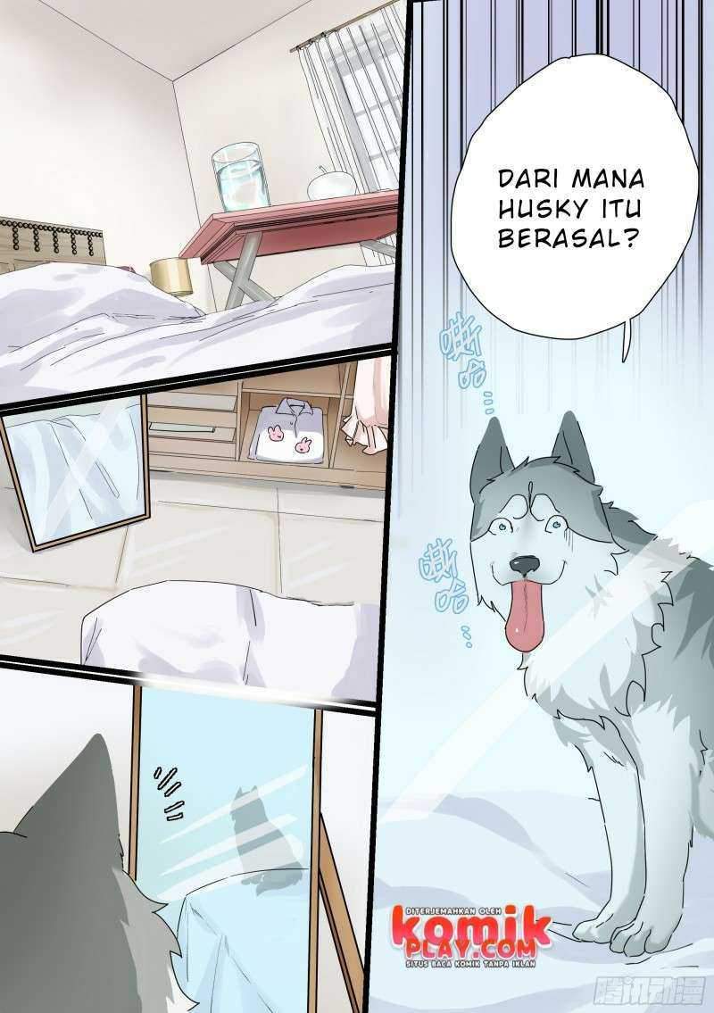 Halaman 3