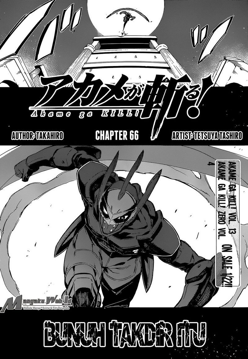 Akame ga Kill! Chapter 66 halaman 9
