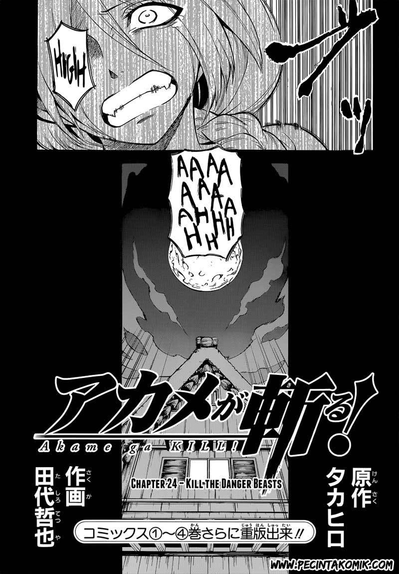 Akame ga Kill! Chapter 24 halaman 4