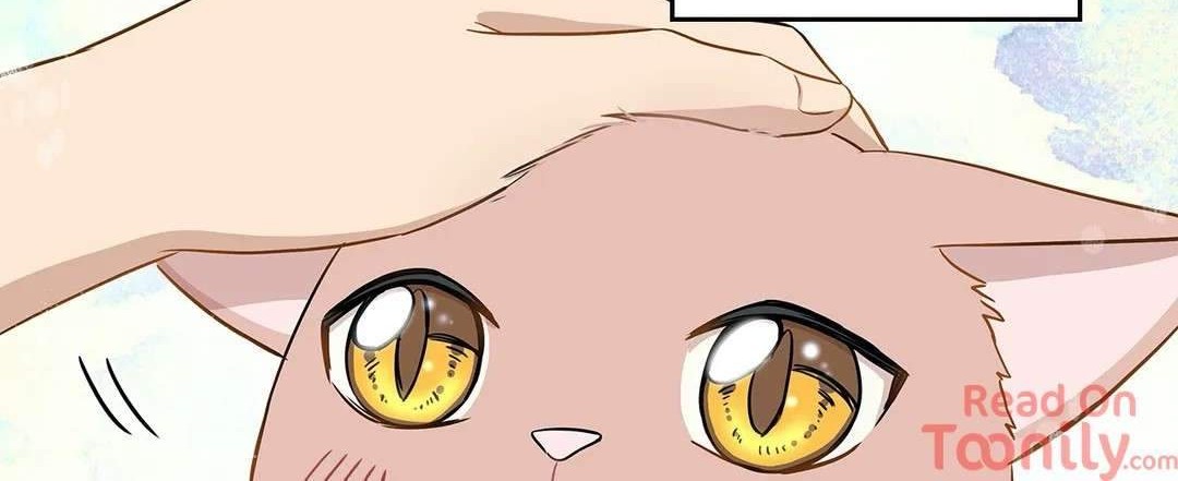Just for a Meowment Chapter 3 halaman 5