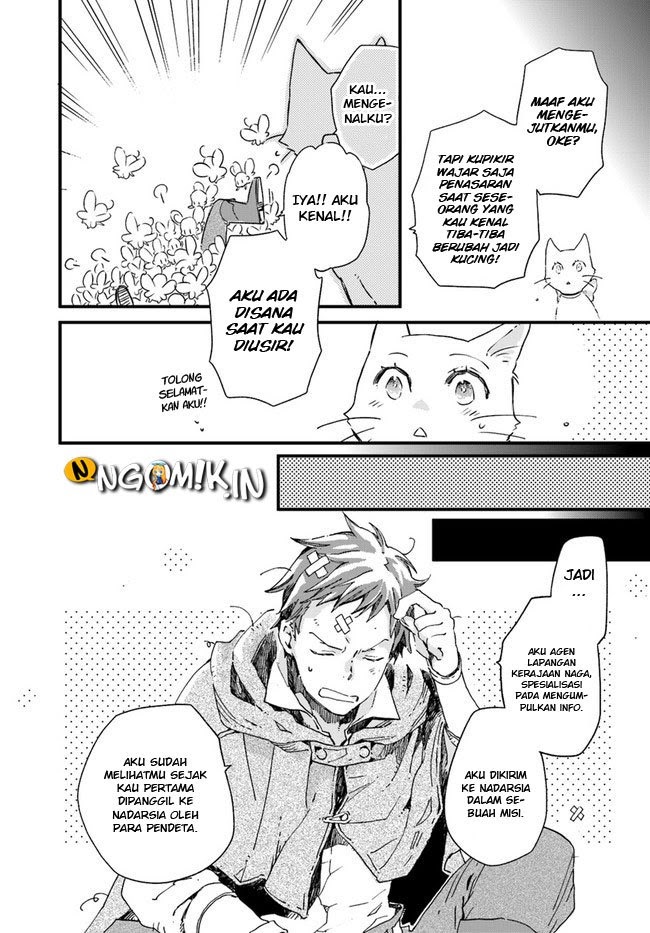 The Vengeful White Cat Lounging on the Dragon King’s Lap Chapter 10 Gambar 5